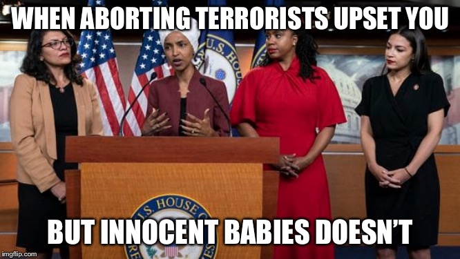 WHEN ABORTING TERRORISTS UPSET YOU; BUT INNOCENT BABIES DOESN’T | image tagged in aoc | made w/ Imgflip meme maker