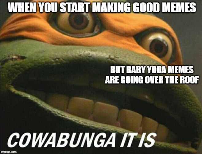 Cowabunga it is | WHEN YOU START MAKING GOOD MEMES; BUT BABY YODA MEMES ARE GOING OVER THE ROOF | image tagged in cowabunga it is | made w/ Imgflip meme maker