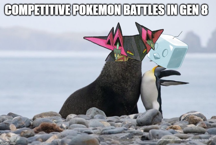 pokemon meta | COMPETITIVE POKEMON BATTLES IN GEN 8 | image tagged in penguin,pokemon,pokemon sword and shield | made w/ Imgflip meme maker