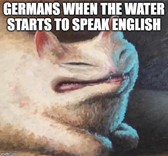 cursed cat painting | GERMANS WHEN THE WATER STARTS TO SPEAK ENGLISH | image tagged in cursed cat painting | made w/ Imgflip meme maker