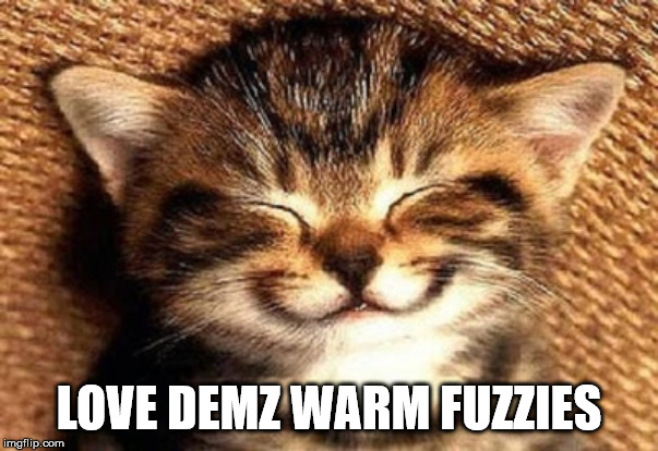 smiling kitten | LOVE DEMZ WARM FUZZIES | image tagged in smiling kitten | made w/ Imgflip meme maker