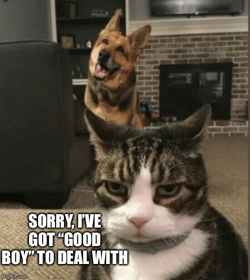 SORRY, I’VE GOT “GOOD BOY” TO DEAL WITH | made w/ Imgflip meme maker