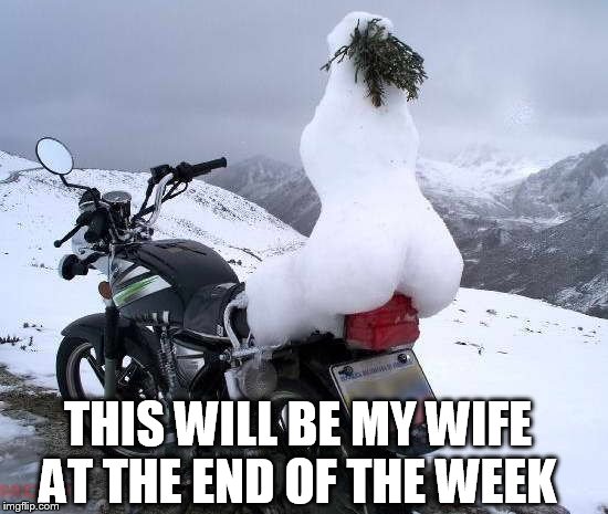 my wife says she will freeze | THIS WILL BE MY WIFE AT THE END OF THE WEEK | image tagged in harley davidson,winter | made w/ Imgflip meme maker