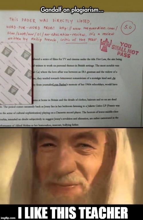 I LIKE THIS TEACHER | image tagged in gandolf,memes | made w/ Imgflip meme maker