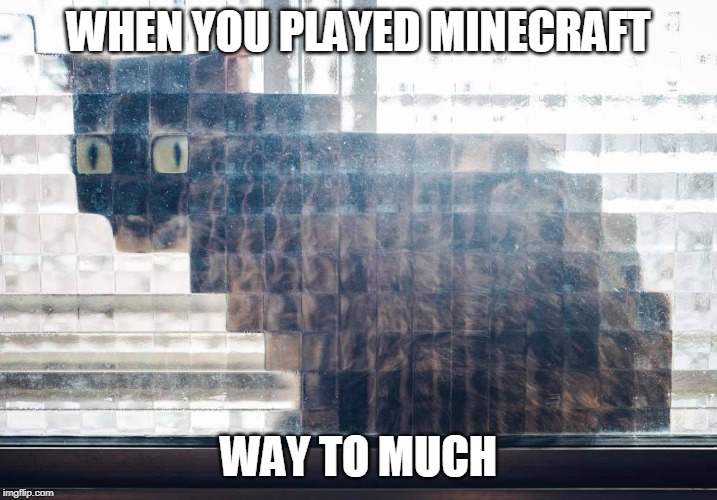 EVERYTHING LOOKS LIKE BLOCKS | WHEN YOU PLAYED MINECRAFT; WAY TO MUCH | image tagged in minecraft | made w/ Imgflip meme maker