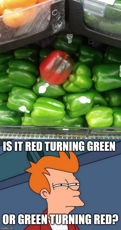 Green or Red? | IS IT RED TURNING GREEN; OR GREEN TURNING RED? | image tagged in memes,futurama fry,green pepper,funny,red pepper,food | made w/ Imgflip meme maker