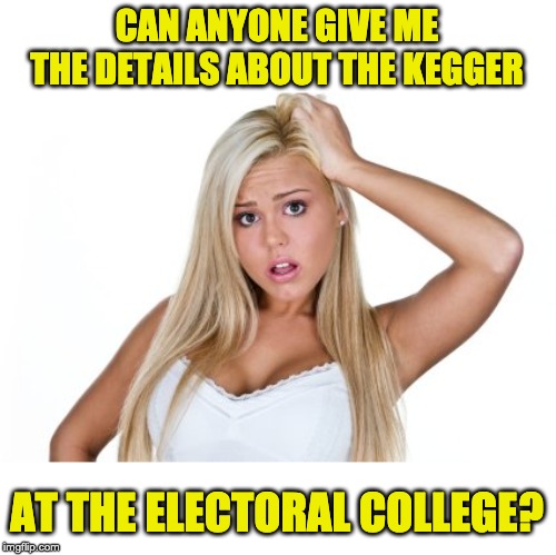 Dumb Blonde | CAN ANYONE GIVE ME THE DETAILS ABOUT THE KEGGER; AT THE ELECTORAL COLLEGE? | image tagged in dumb blonde | made w/ Imgflip meme maker