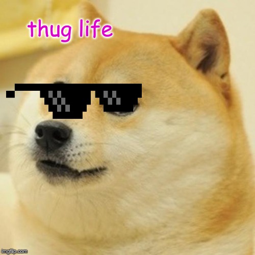 Doge Meme | thug life | image tagged in memes,doge | made w/ Imgflip meme maker