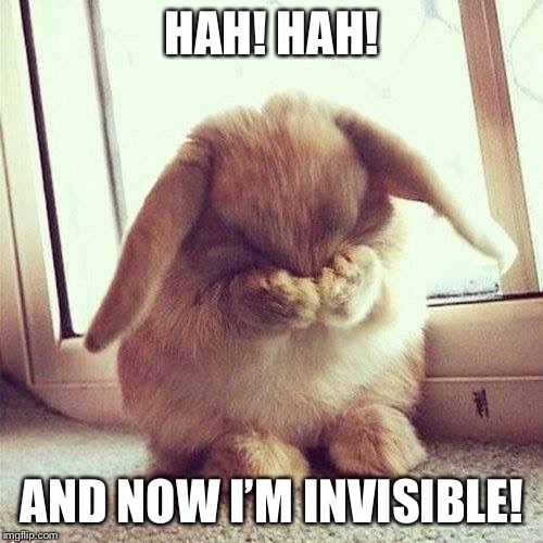Shy rabbit | HAH! HAH! AND NOW I’M INVISIBLE! | image tagged in shy rabbit | made w/ Imgflip meme maker