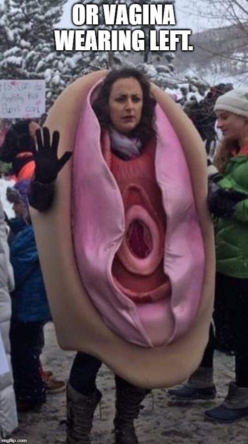 Vagina Woman | OR VA**NA WEARING LEFT. | image tagged in vagina woman | made w/ Imgflip meme maker