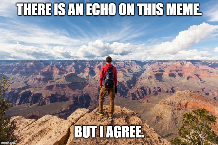 echo chamber | THERE IS AN ECHO ON THIS MEME. BUT I AGREE. | image tagged in echo chamber | made w/ Imgflip meme maker