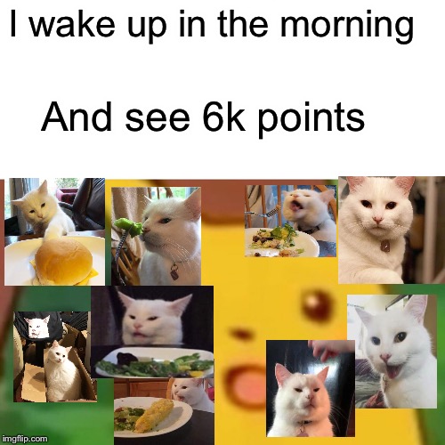 Thank you for 6k! Sorry that I haven’t been posting for not posting I was busy | I wake up in the morning; And see 6k points | image tagged in memes,surprised pikachu,smudge the cat,thank u | made w/ Imgflip meme maker