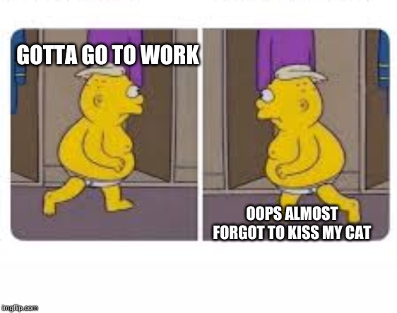 GOTTA GO TO WORK; OOPS ALMOST FORGOT TO KISS MY CAT | image tagged in funny | made w/ Imgflip meme maker