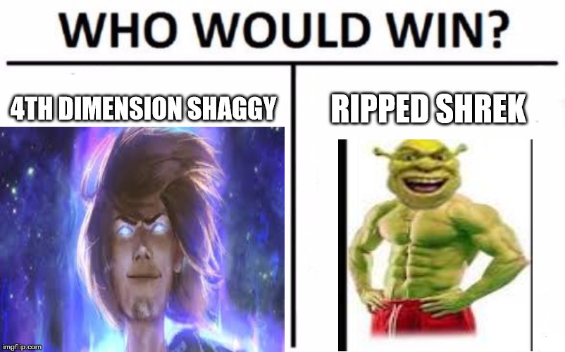 4TH DIMENSION SHAGGY; RIPPED SHREK | image tagged in imgflip humor | made w/ Imgflip meme maker