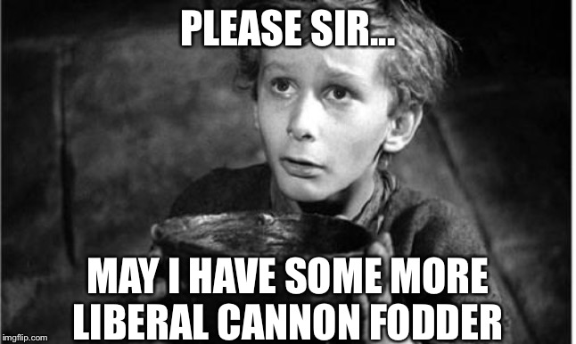 Begging | PLEASE SIR... MAY I HAVE SOME MORE LIBERAL CANNON FODDER | image tagged in begging | made w/ Imgflip meme maker