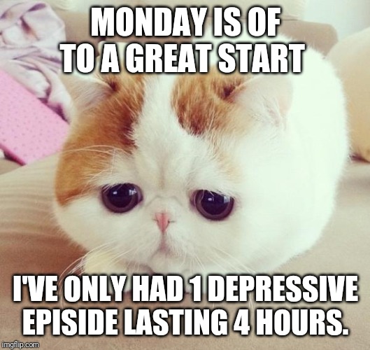 Sad Cat |  MONDAY IS OF TO A GREAT START; I'VE ONLY HAD 1 DEPRESSIVE EPISODE LASTING 4 HOURS. | image tagged in sad cat | made w/ Imgflip meme maker