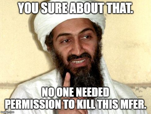 Osama bin Laden | YOU SURE ABOUT THAT. NO ONE NEEDED PERMISSION TO KILL THIS MFER. | image tagged in osama bin laden | made w/ Imgflip meme maker