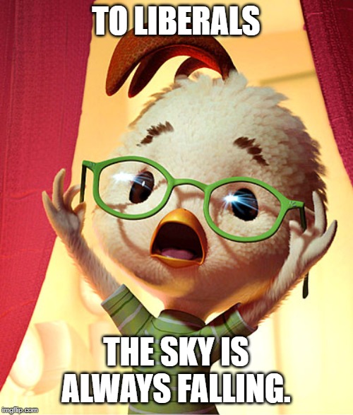 Chicken Little | TO LIBERALS THE SKY IS ALWAYS FALLING. | image tagged in chicken little | made w/ Imgflip meme maker