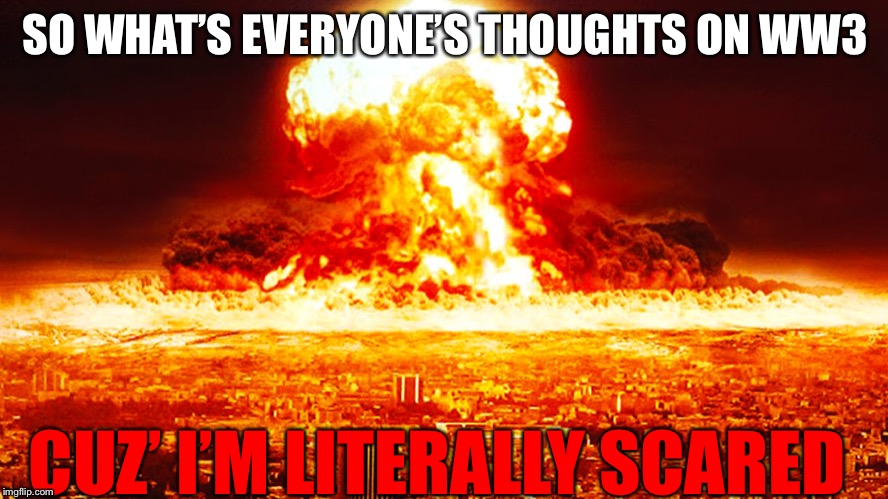 WW3 IS COMING | SO WHAT’S EVERYONE’S THOUGHTS ON WW3; CUZ’ I’M LITERALLY SCARED | image tagged in ww3 | made w/ Imgflip meme maker