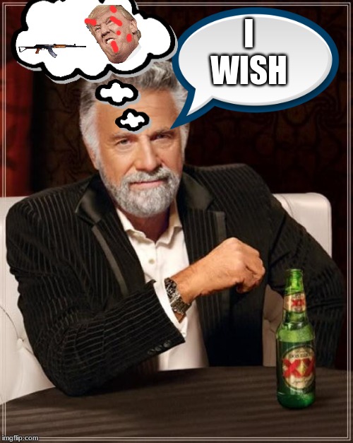 The Most Interesting Man In The World | I WISH | image tagged in memes,the most interesting man in the world | made w/ Imgflip meme maker