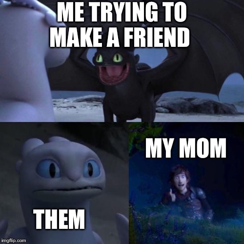 Toothless presents himself | ME TRYING TO MAKE A FRIEND; MY MOM; THEM | image tagged in toothless presents himself | made w/ Imgflip meme maker
