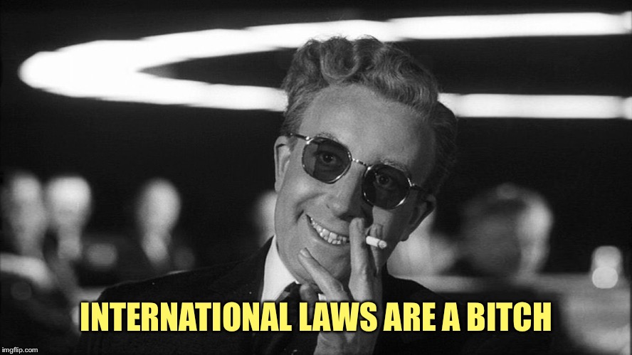 Doctor Strangelove says... | INTERNATIONAL LAWS ARE A B**CH | image tagged in doctor strangelove says | made w/ Imgflip meme maker