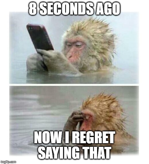 4 seconds after sending that risky text - Monkey | 8 SECONDS AGO; NOW I REGRET SAYING THAT | image tagged in 4 seconds after sending that risky text - monkey | made w/ Imgflip meme maker