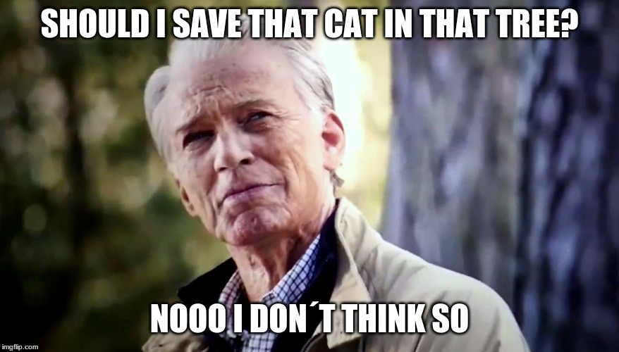 No I don't think I will | SHOULD I SAVE THAT CAT IN THAT TREE? NOOO I DON´T THINK SO | image tagged in no i don't think i will | made w/ Imgflip meme maker