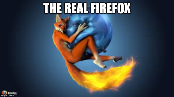 The real firefox is a furry | THE REAL FIREFOX | image tagged in firefox,furries,memes | made w/ Imgflip meme maker