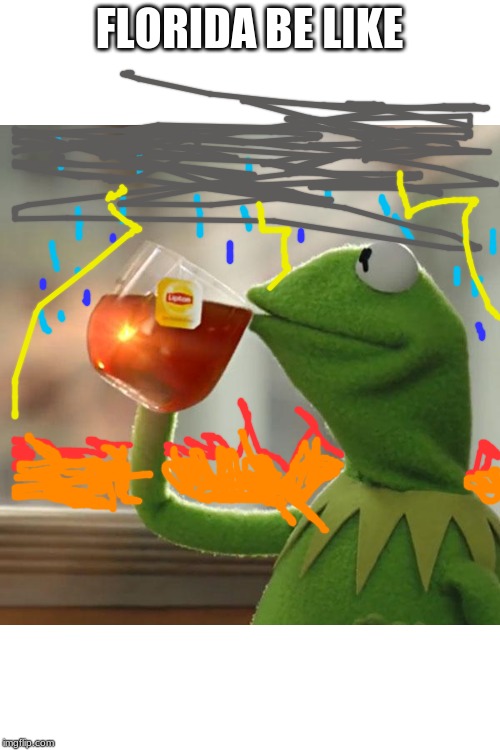 But That's None Of My Business Meme | FLORIDA BE LIKE | image tagged in memes,but thats none of my business,kermit the frog | made w/ Imgflip meme maker