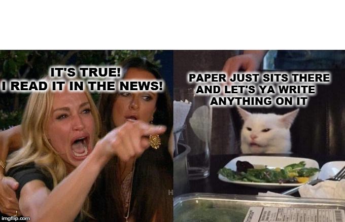 Woman Yelling At Cat | IT'S TRUE! 
I READ IT IN THE NEWS! PAPER JUST SITS THERE 
    AND LET'S YA WRITE 
        ANYTHING ON IT | image tagged in memes,woman yelling at cat | made w/ Imgflip meme maker
