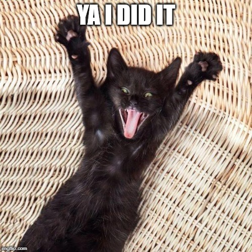 Happy cat  | YA I DID IT | image tagged in happy cat | made w/ Imgflip meme maker