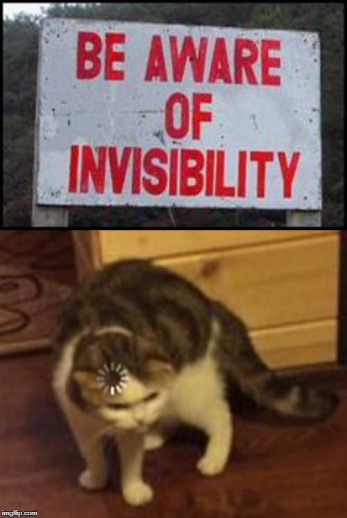 How can I be aware of invisibility? | image tagged in loading cat,funny signs,hold up,hol up,awareness,invisibility | made w/ Imgflip meme maker