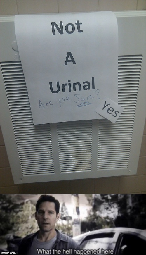 What the Hell happened here? | image tagged in what the hell happened here,urinal,well yes but actually no,yes,are you sure,lol didnt read | made w/ Imgflip meme maker