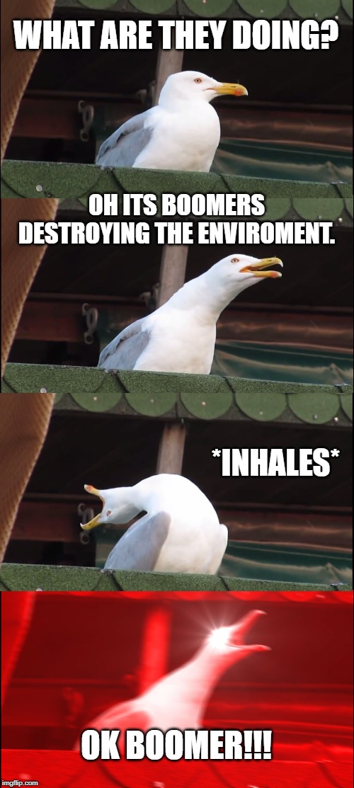 Inhaling Seagull | WHAT ARE THEY DOING? OH ITS BOOMERS DESTROYING THE ENVIROMENT. *INHALES*; OK BOOMER!!! | image tagged in memes,inhaling seagull | made w/ Imgflip meme maker