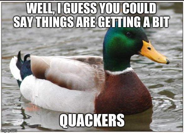 Actual Advice Mallard Meme | WELL, I GUESS YOU COULD SAY THINGS ARE GETTING A BIT QUACKERS | image tagged in memes,actual advice mallard | made w/ Imgflip meme maker