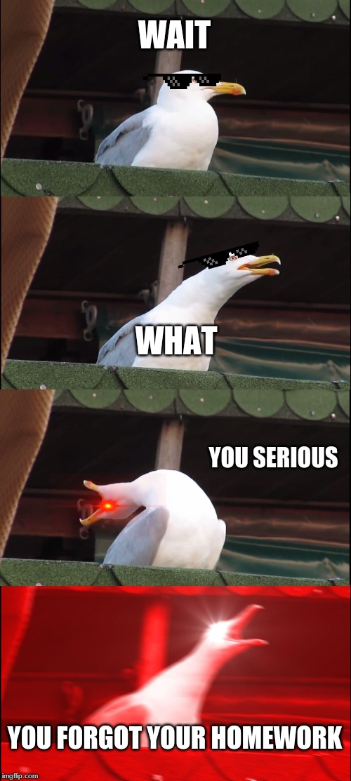 Inhaling Seagull | WAIT; WHAT; YOU SERIOUS; YOU FORGOT YOUR HOMEWORK | image tagged in memes,inhaling seagull | made w/ Imgflip meme maker