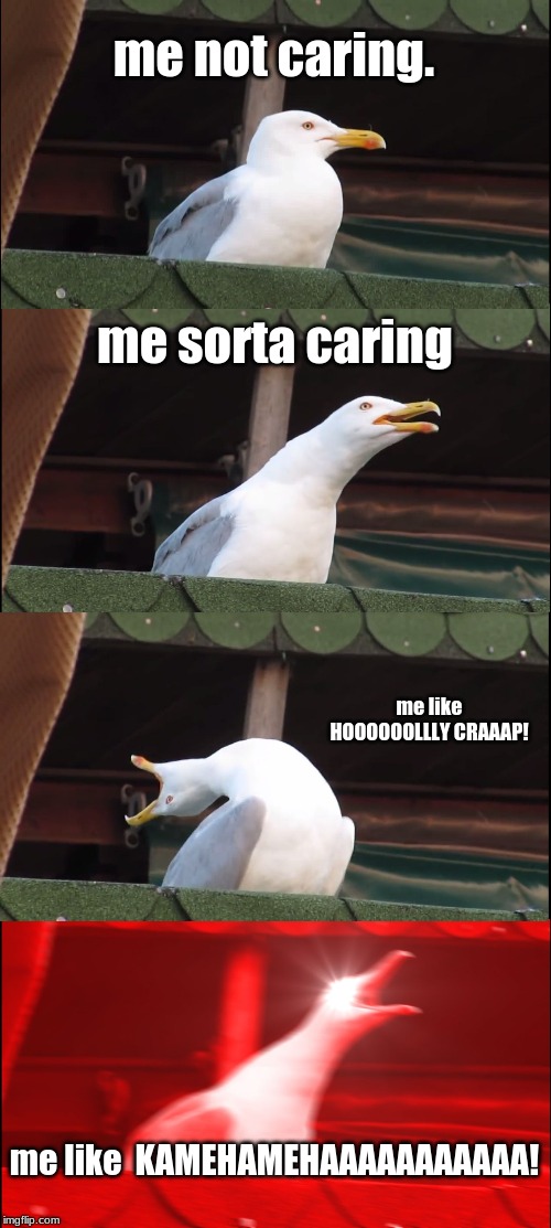 Inhaling Seagull Meme | me not caring. me sorta caring; me like HOOOOOOLLLY CRAAAP! me like  KAMEHAMEHAAAAAAAAAAA! | image tagged in memes,inhaling seagull | made w/ Imgflip meme maker