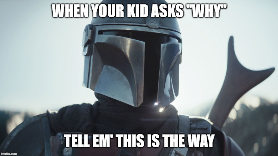 The Mandalorian. | WHEN YOUR KID ASKS "WHY"; TELL EM' THIS IS THE WAY | image tagged in the mandalorian | made w/ Imgflip meme maker