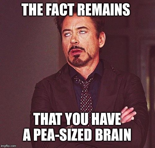 Robert Downey Jr Annoyed | THE FACT REMAINS THAT YOU HAVE A PEA-SIZED BRAIN | image tagged in robert downey jr annoyed | made w/ Imgflip meme maker