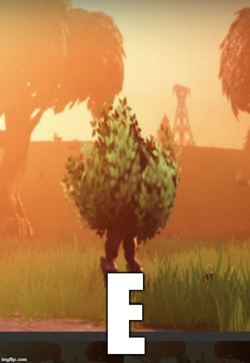 Fortnite bush | E | image tagged in fortnite bush | made w/ Imgflip meme maker