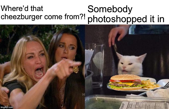 It’s true. | Where’d that cheezburger come from?! Somebody photoshopped it in | image tagged in memes,woman yelling at cat,cheezburger,funny | made w/ Imgflip meme maker