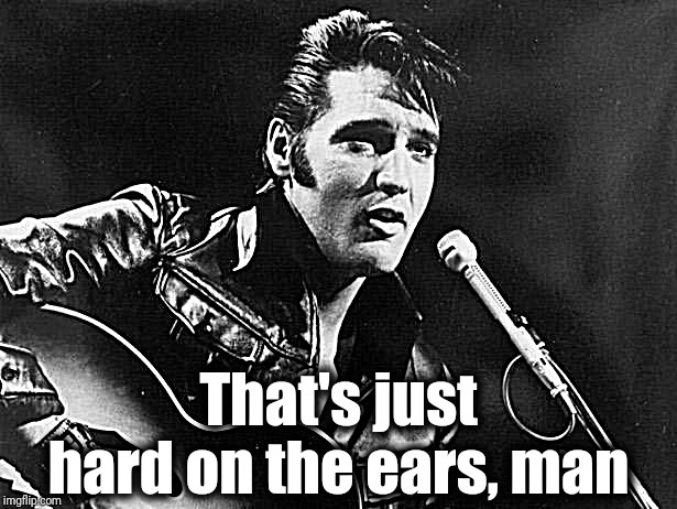 Leather Elvis | That's just hard on the ears, man | image tagged in leather elvis | made w/ Imgflip meme maker