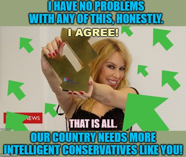 Let the record reflect: I am capable of getting along with conservatives. | I HAVE NO PROBLEMS WITH ANY OF THIS, HONESTLY. OUR COUNTRY NEEDS MORE INTELLIGENT CONSERVATIVES LIKE YOU! | image tagged in kylie agree w/ upvotes,conservatives,wars,upvotes,intelligent,respect | made w/ Imgflip meme maker