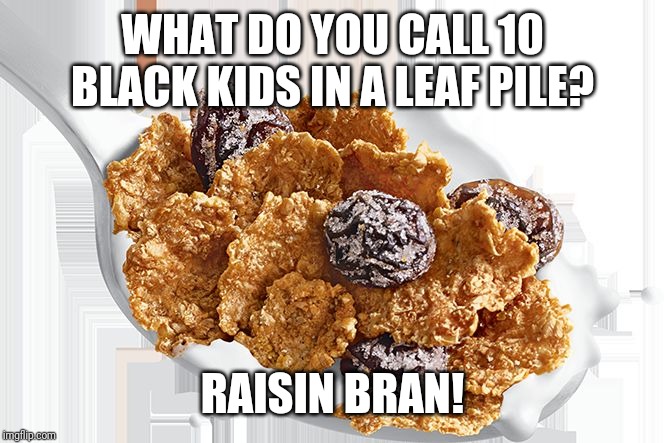 Raisin Bran | WHAT DO YOU CALL 10 BLACK KIDS IN A LEAF PILE? RAISIN BRAN! | image tagged in raisin bran | made w/ Imgflip meme maker