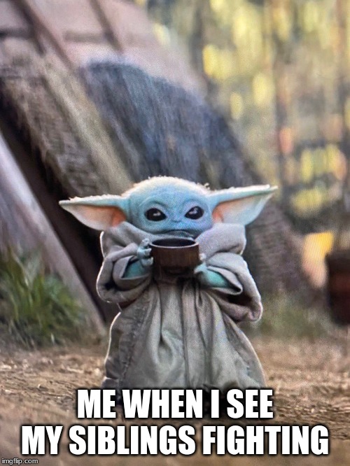 BABY YODA TEA | ME WHEN I SEE MY SIBLINGS FIGHTING | image tagged in baby yoda tea | made w/ Imgflip meme maker