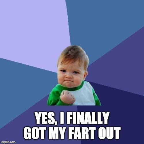 Success Kid Meme | YES, I FINALLY GOT MY FART OUT | image tagged in memes,success kid | made w/ Imgflip meme maker