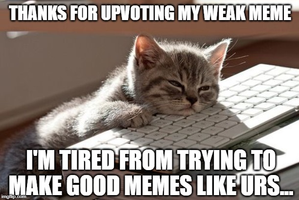 Cat thank you | THANKS FOR UPVOTING MY WEAK MEME I'M TIRED FROM TRYING TO MAKE GOOD MEMES LIKE URS... | image tagged in cat thank you | made w/ Imgflip meme maker