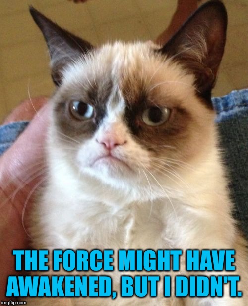 Grumpy Cat Meme | THE FORCE MIGHT HAVE AWAKENED, BUT I DIDN'T. | image tagged in memes,grumpy cat | made w/ Imgflip meme maker