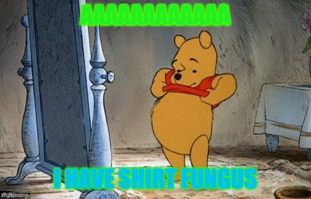 Winnie the Pooh | AAAAAAAAAAAA; I HAVE SHIRT FUNGUS | image tagged in winnie the pooh | made w/ Imgflip meme maker